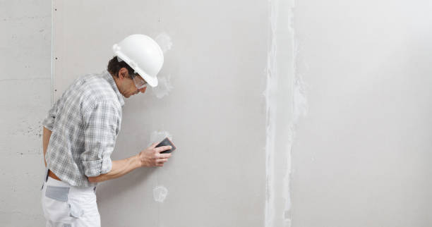 Best Mold Damage Restoration  in Hrisburg, AR