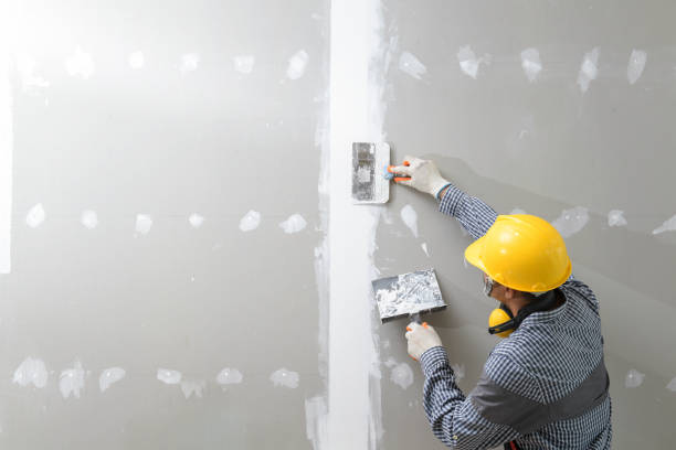 Best Basement Mold Removal  in Hrisburg, AR