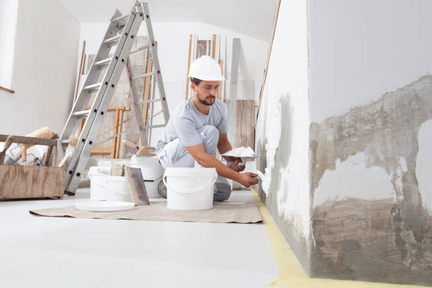 Trusted Harrisburg, AR Mold Removal Experts